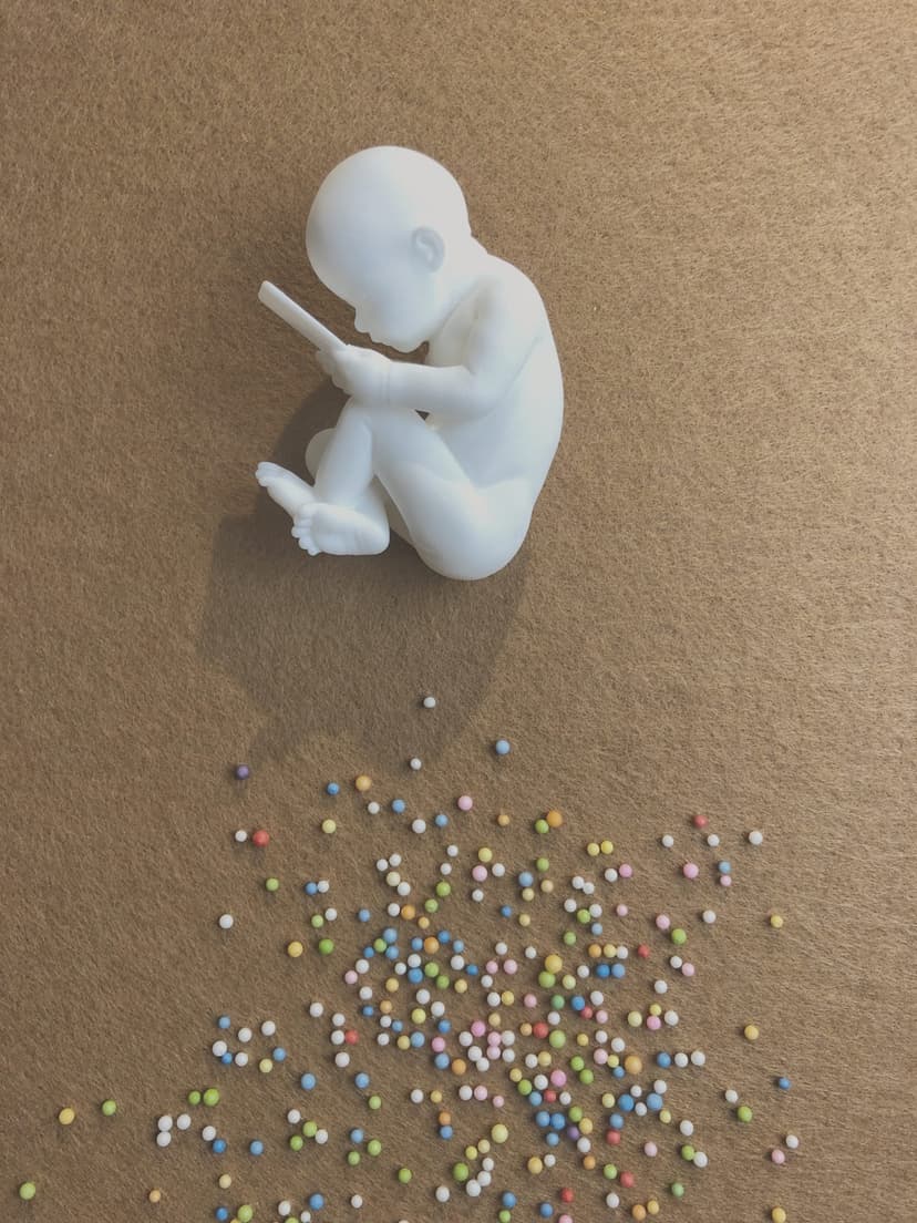 Chromosome