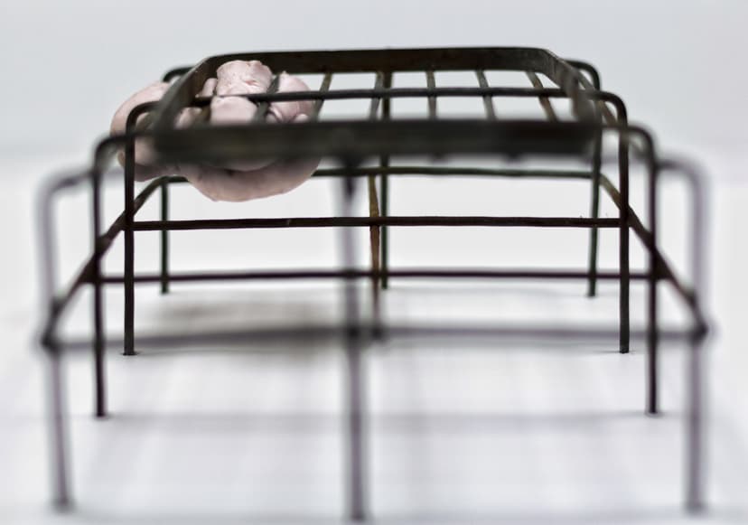 Detail of Incarnation by Federico Clapis: a pink resin form pressed through the bars of a dark iron grid, seen at eye level