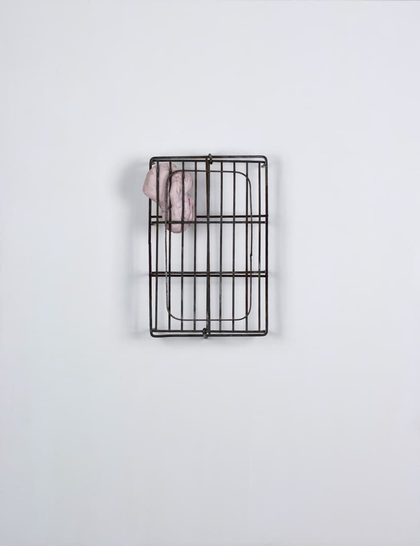 Incarnation by Federico Clapis: a dark iron grid mounted on a white surface, with a soft pink resin shape caught in its upper corner