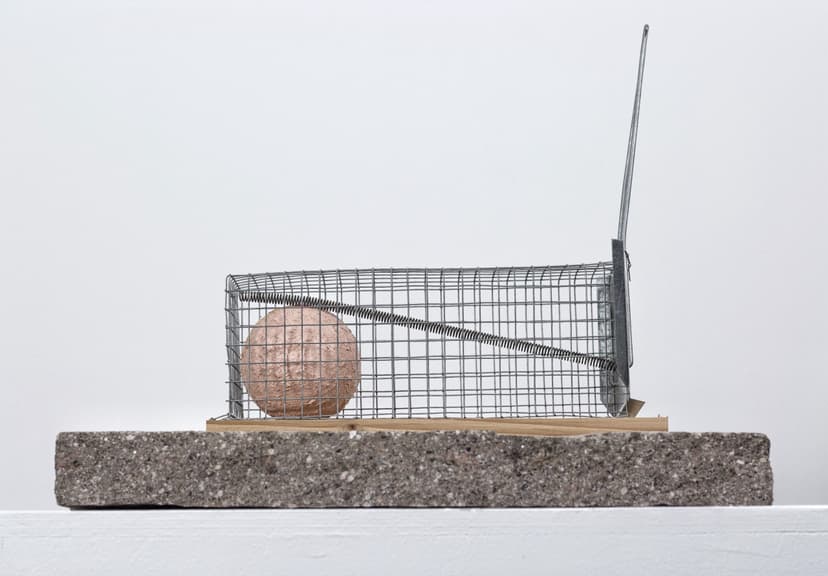 Reincarnation by Federico Clapis in side view: the metal cage trap with a pink stone-like ball, resting on a slab of stone