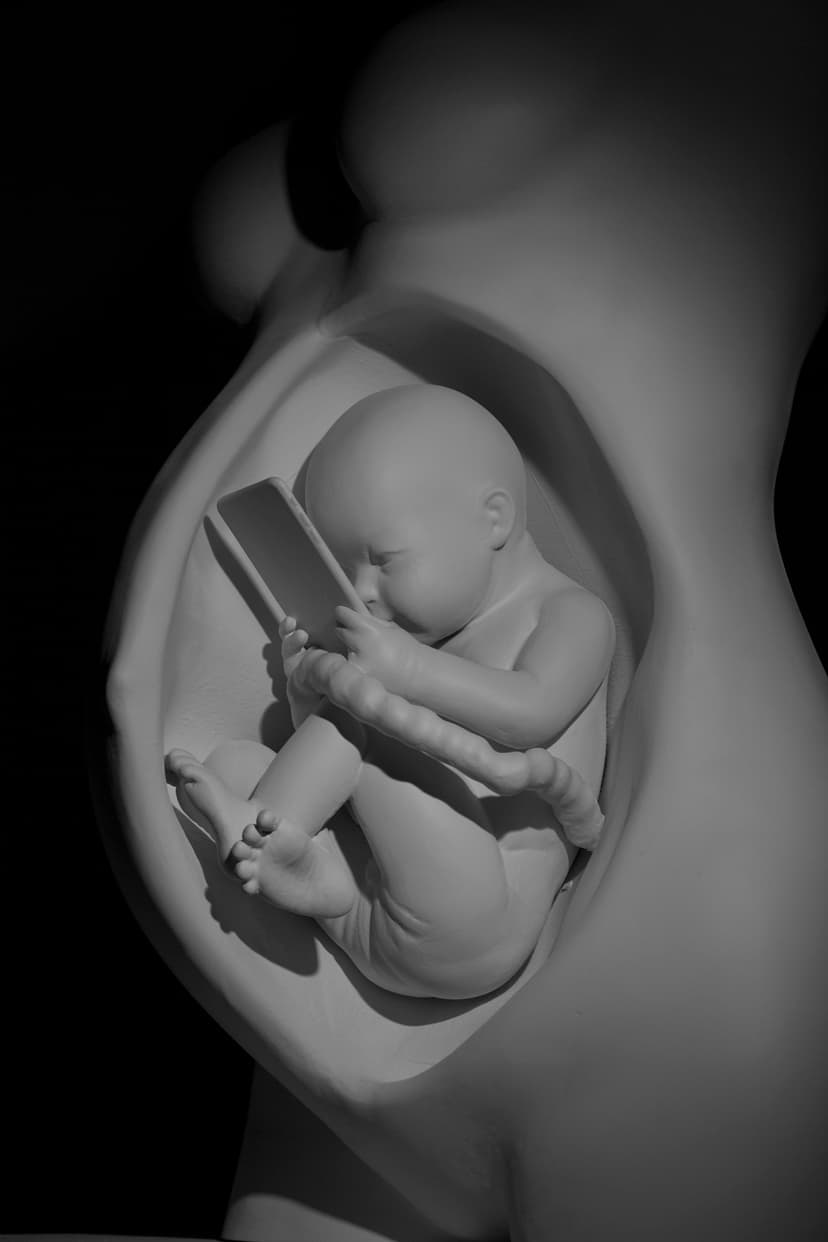 Detail of Federico Clapis's The Connection: the fetus looking at a smartphone inside the hollow belly, lit against a black background
