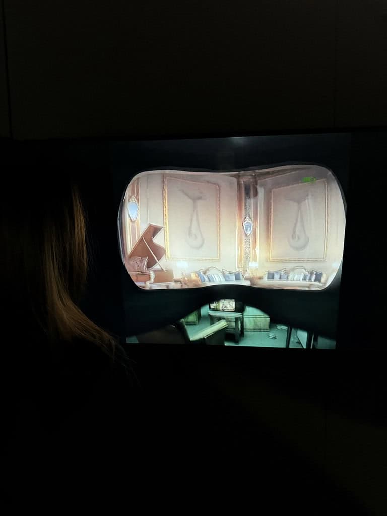 A visitor in the dark watches a stereoscopic video of an ornate room on a screen, a digital work by Federico Clapis shown at NFT Paris